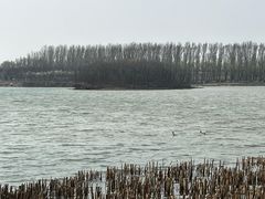 -丁香湖公园