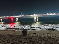 -演武大桥观景平台