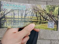 -上海共青森林公园