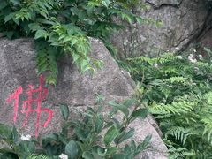 -冶父山国家森林公园