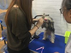 -PETKIT小佩宠物(古北店)