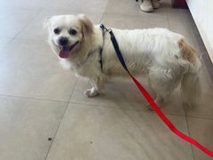 -艾贝尔宠物医院·狂犬免疫点(江山金象城店)