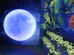 -天津梵高星空艺术馆(天河城旗舰店)