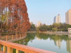 -黄兴公园