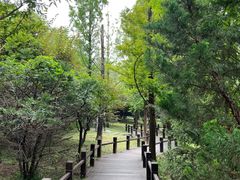-国家植物园南园