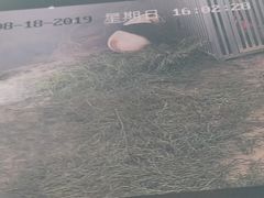 -南昌动物园