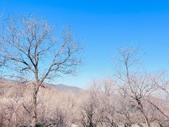 -香山公园