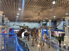 -国家自然博物馆