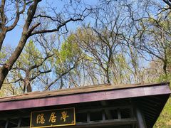 -句容茅山景区