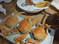 -东口码头·烧鸽子·鱼头泡饼·地方菜(金鹰悦城店)