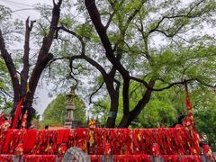 -大槐树寻根祭祖园