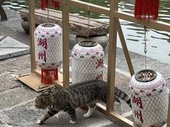 -猫的魔法密林(衣裳街店)
