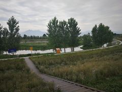 -洨河生态公园
