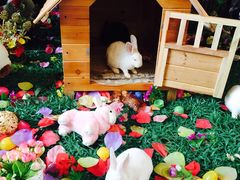 iphone_upload_pic-北京朝阳悠唐皇冠假日酒店