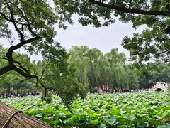 -莲池书院博物馆