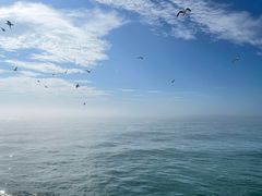 -海驴岛(荣成市)