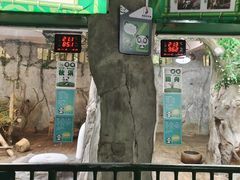 -深圳野生动物园