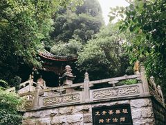 -十八棵（老龙井）御茶园(老龙井店)