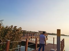 -芒洲湿地公园