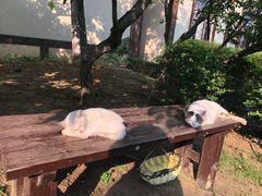 -金石唐风国际温泉会馆