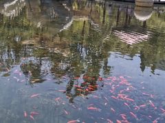 -水磨沟公园