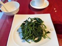 杏仁桑叶芽-天厨妙香素食餐厅(清华店)