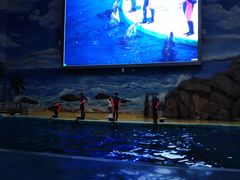 -福州罗源湾海洋世界旅游区