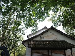 -西溪国家湿地公园