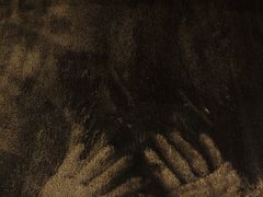 -line friends(明洞旗舰店)