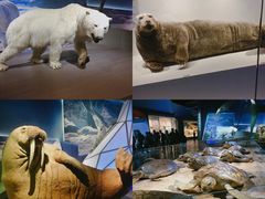 -贝林大翅鲸简餐厅(国家海洋博物馆店)