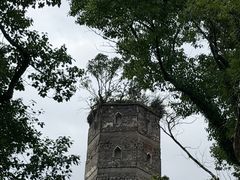 -江心屿景区
