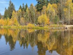 -五营红松林海景区