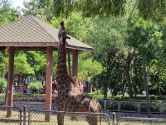 -石家庄市动物园