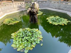 -泰山风景名胜区