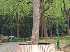 -中山公园