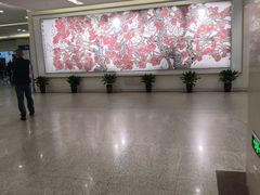 -瑞金医院-门诊部