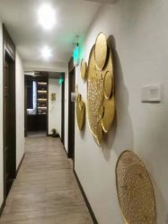 -青青一生美皮肤管理