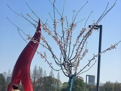 -宁波儿童公园(鄞州区)