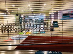 -龙阳路磁悬浮列车总站-停车场