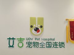 -艾吉宠物医院·疑难杂症转诊中心·猫友好(碧江路院)