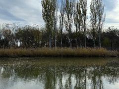 -大兴滨河森林公园