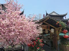 -二十八里太湖船菜(吉祥路店)