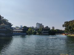 -荔湾湖公园