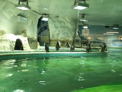 -北戴河圣蓝海洋公园