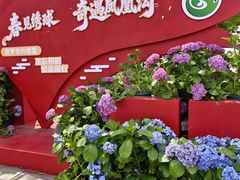 -凤凰沟景区
