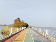 -贡湖湾湿地公园