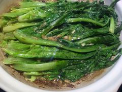 -三强鸽子(中原路店)