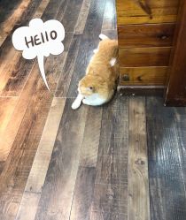 -爱美丽科技美肤中心