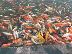 -北戴河圣蓝海洋公园