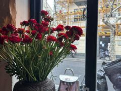 -Apollo·西班牙小酒馆(安福路店)